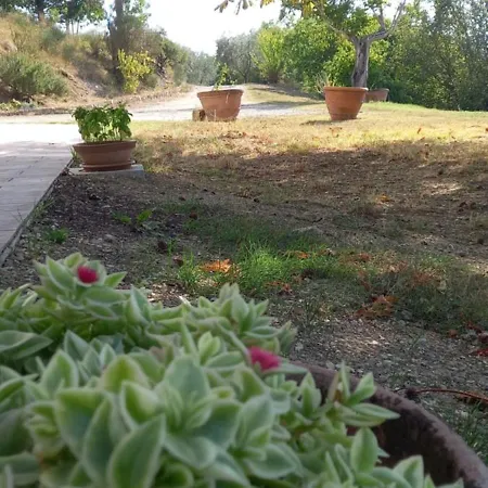 I 5 Ettari Casa Con Piscina 20 Min Da Firenze * Pontassieve
