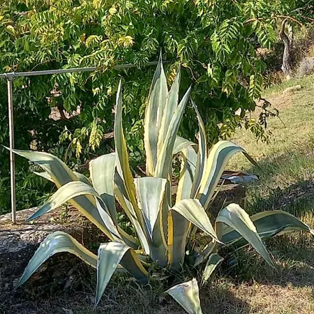 I 5 Ettari Casa Con Piscina 20 Min Da Firenze