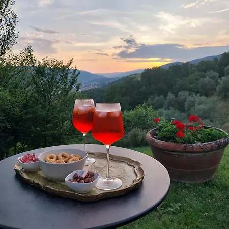 Appartement I 5 Ettari Casa Con Piscina 25 Min Da Firenze Pontassieve