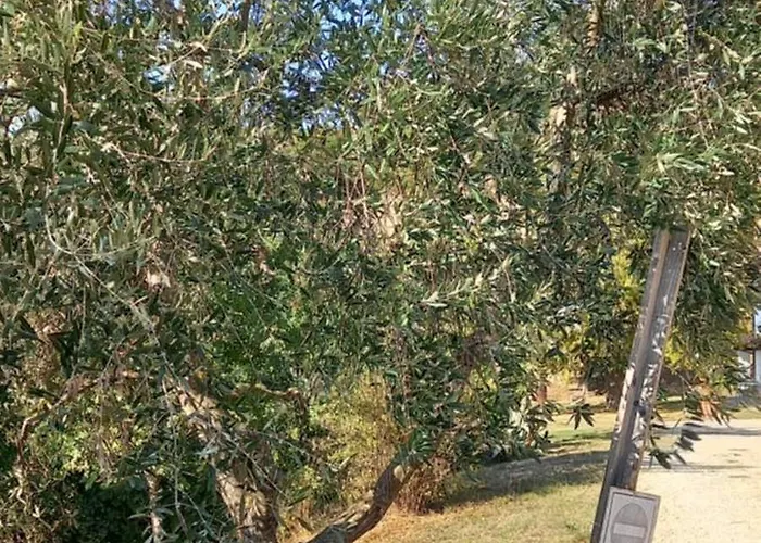 Casa Palaie Colline Firenze アパート ポンタッシエーヴェ