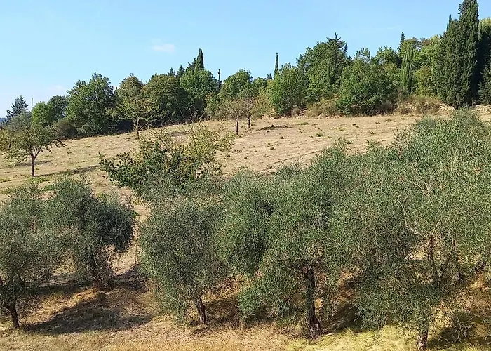 Casa Palaie Colline Firenze アパート *