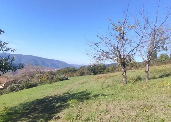 アパート Casa Palaie Colline Firenze *